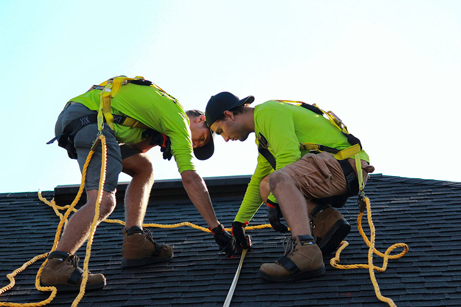 Professional roofing services